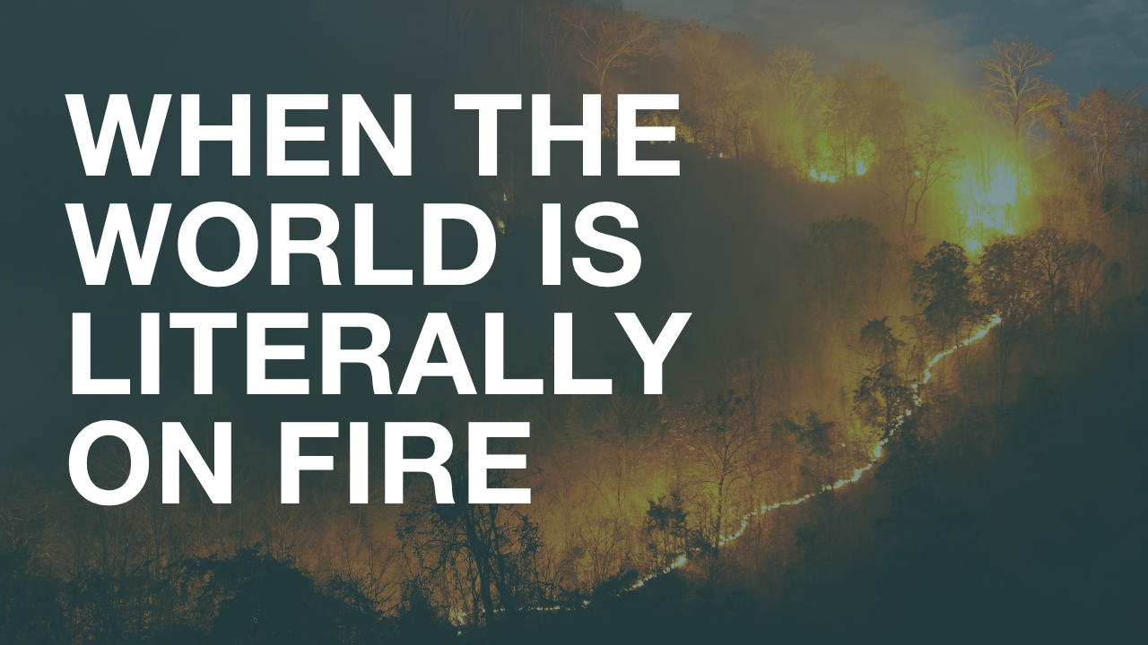 When the world is literally on fire - Blog